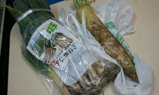 これが下仁田ねぎと大根♪泥つきだぁ♪
